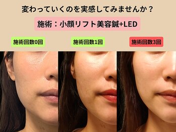 やなけん 亀戸店