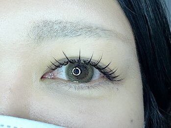 セン(SEN)/セーブルラッシュ(エクステ)