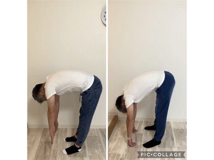 ブレフィジ(BREFISI)の写真