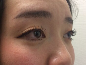 シュシュ(chou chou)/セーブル140本(chouchou吉祥寺)