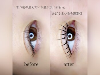 シエル(Se aile)/上のみ似合わせまつげパーマ