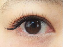 アイラッシュサロンティアラ/１６０本(８０本ずつ)