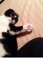 メローワックス 松本駅前店(MELLOW WAX) 愛猫の龍之助くんです♪
