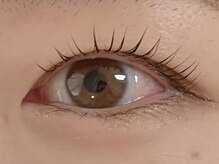 アノカプイル(ankpil)/