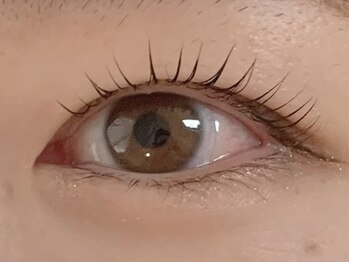 アノカプイル(ankpil)/