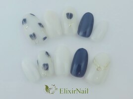 定額aシンプル/クーポン使用