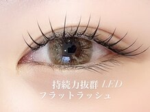 人気No.1のフラットラッシュは着け心地が軽くナチュラル派にも◎