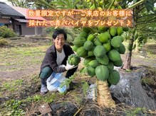 タイヒーリング セン