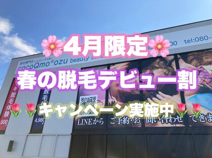 ココキューモオオズ(cocoQmo ozu)の写真