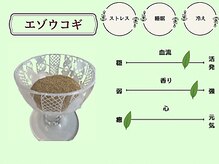 ユゲ(Yug.E)/＋ハーブ　エゾウコギ※数量限定