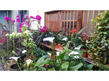 リカ/玄関を入ると・・・