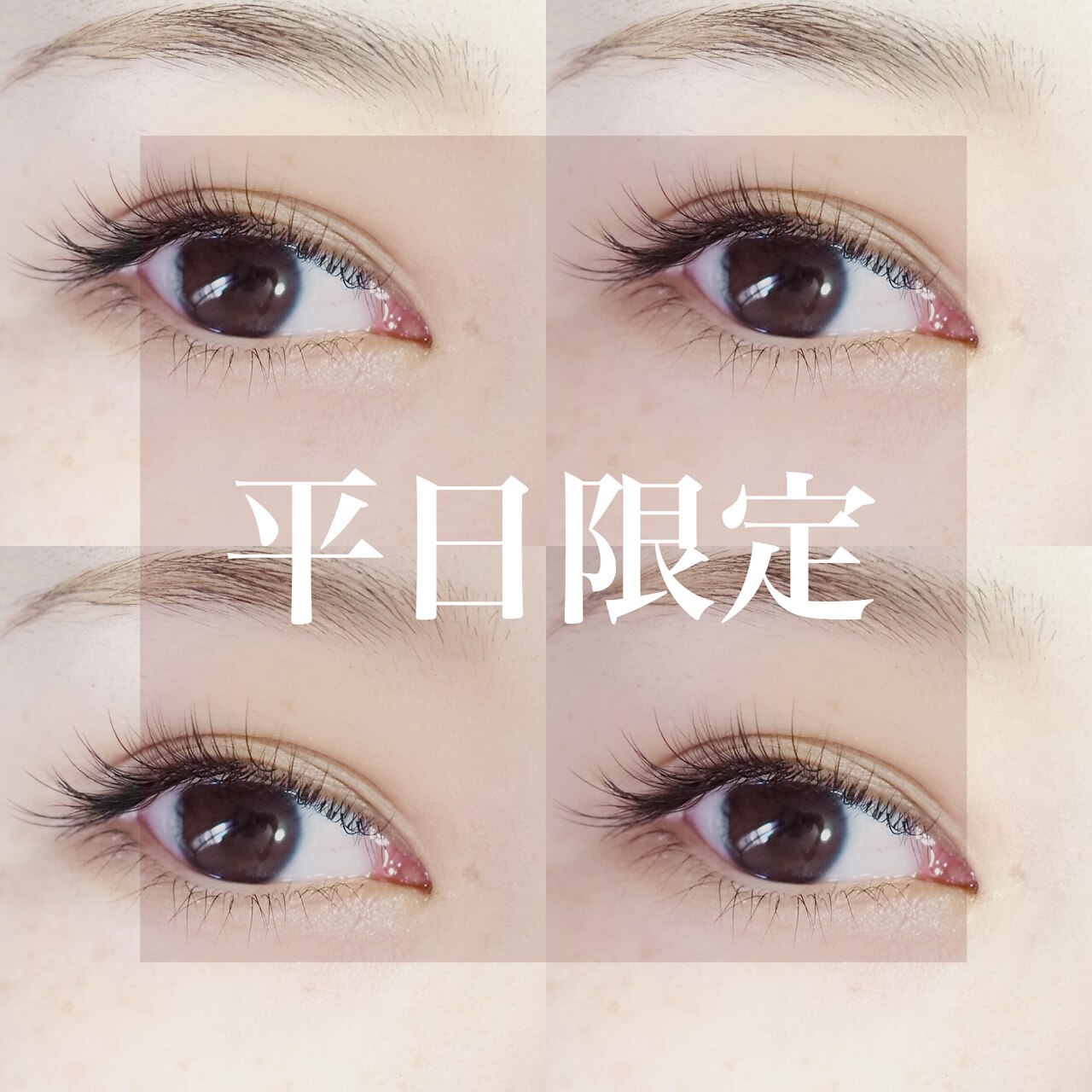 【 平日限定クーポン】フラットラッシュ100本 5980円オフ込　二子玉川