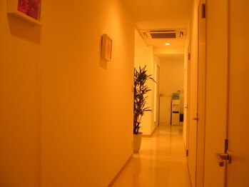 アペゼ バゲット 本八幡店(Apaiser Baguette)/店内　雰囲気