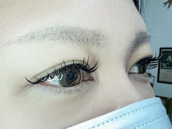 セン(SEN)/セーブルラッシュ(エクステ)