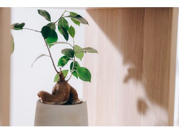 ミラー(mirror)/「観葉植物」