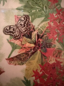 まほうの手/密かなお忍びサロン