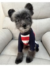 ケアダリア(kea’Dahlia) 僕の名前は ベンジー