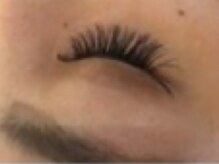 メイクスペース ミキ(MAKE SPACE MIKI)/5Dボリュームラッシュ 500本