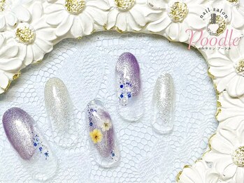 プードル(Poodle)/トレンドデザイン