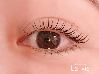 ラヴィ(La vie)の写真