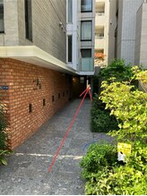 240鍼灸マッサージ院 麻布十番/脇の通路を抜けてください