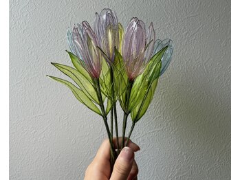 トトノリス(Totonoris)/【作品】ミニチューリップ