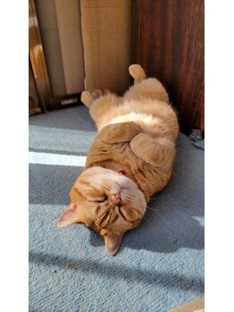 ほぐし処 楽/日向ぼっこ^^