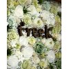 フリーク(freeK)のお店ロゴ