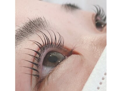 バニラ(VANILLE)の写真
