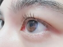 シェル 松戸(Shell)/まつげパーマ