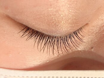 レミア 関内(REMIA)/６月 ダークブラウン６０本