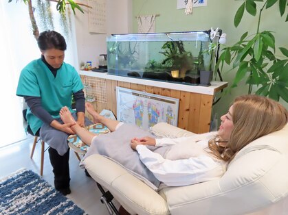 蓮(レン)の写真