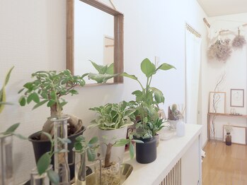 アットレスト(At rest)/玄関