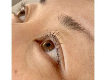 プラウド(Proud)/まつ毛パーマ