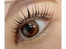 ラッシュ ダリア桃谷店(Lash)の雰囲気(マスカラパーマ)