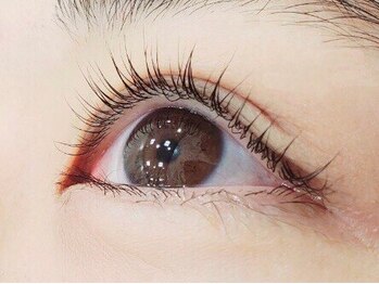 シェル 松戸(Shell)/まつげパーマ