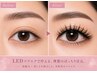 【圧倒的持続力◎】LEDダブルフラット120束(240本) &nbsp;¥8800