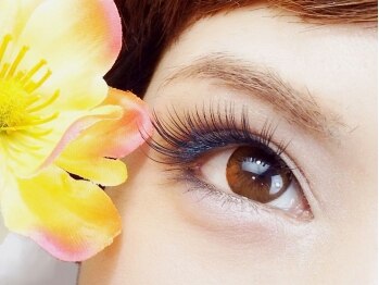年版 大森でつけ放題メニューがおすすめのまつげサロン4選 Beautify おすすめ美容室の口コミ ランキング情報