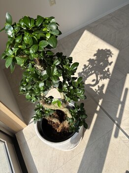 ナラ 都城店(nala.)/騒音でご迷惑をお掛けします。