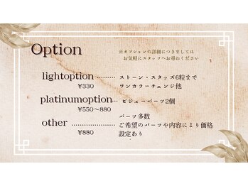 ライズ 本町店(Raize)/★ベーシックオプション詳細★