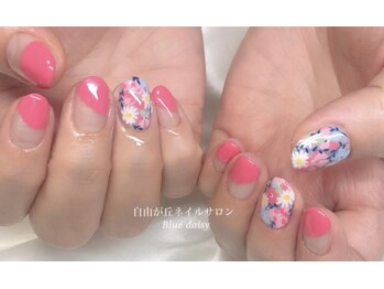 ブルーデイジー(Blue daisy)/