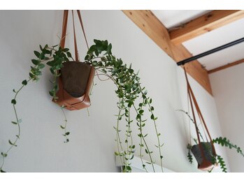 ナチュラル グロウ 木更津(NATURAL GLOW)/店内写真