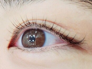 シェル 松戸(Shell)/パリジェンヌラッシュリフト