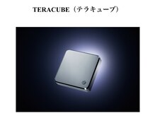 ヨサパーク すずのね(YOSA PARK)/テラ鉱石でマッサージ