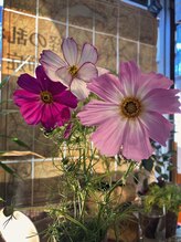 すまいぶりぃ整体院/カフェタイム