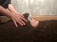 ミディースパ(Middy SPA)の写真