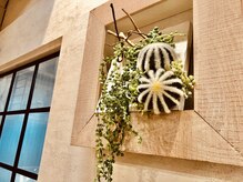 ラウムネイル(Raum Nail)/