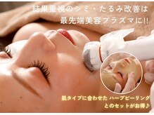 ジュエルオーキッド(Jewel orchids)