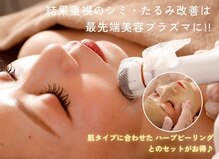 ジュエルオーキッド(Jewel orchids)