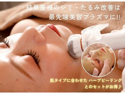 ジュエルオーキッド(Jewel orchids)の写真